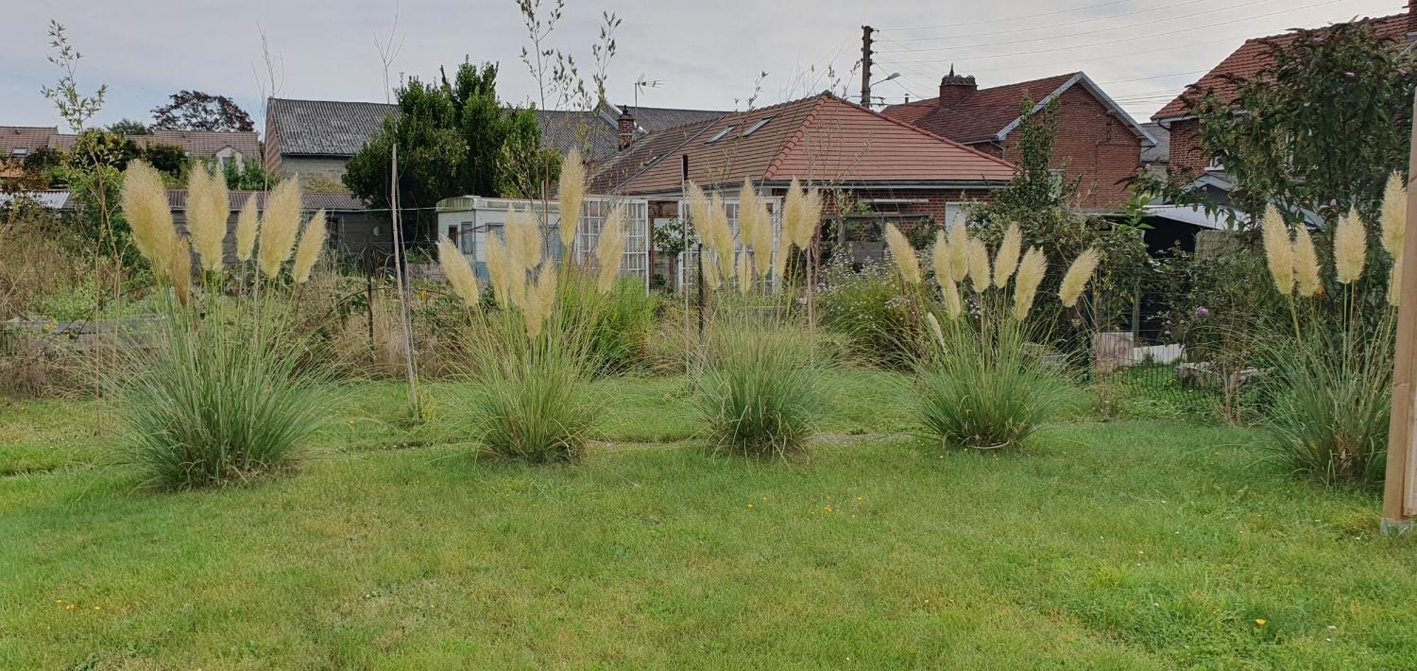 Maison Confortable, Terrasse Et Jardin A Amiens Exterior photo